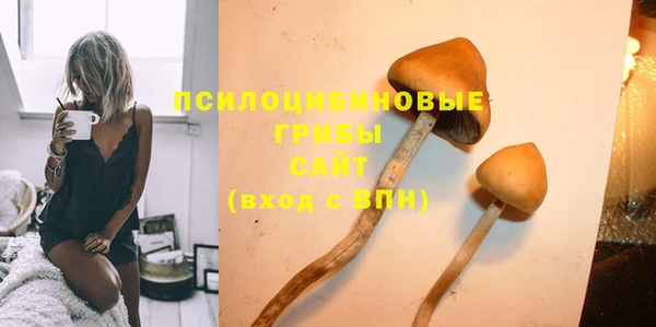 apvp Володарск