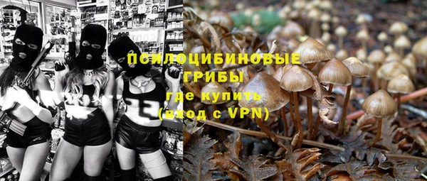 apvp Володарск